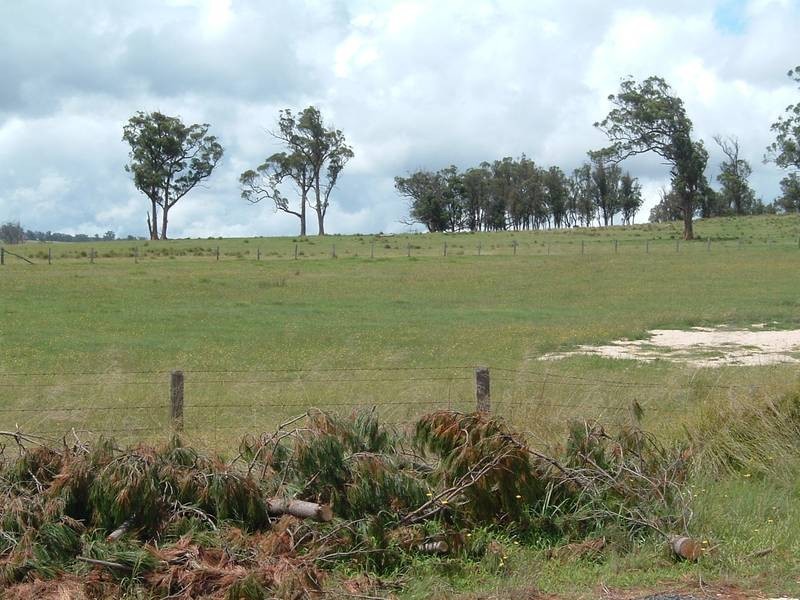 Lot 203,  Bruxner Highway, Tenterfield NSW 2372