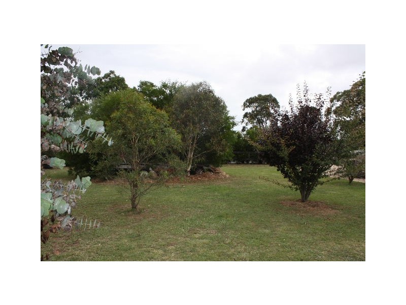 Tenterfield NSW 2372