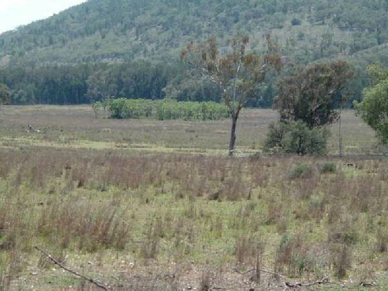 Bonshaw NSW 2361