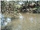Bonshaw NSW 2361