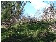 Bonshaw NSW 2361