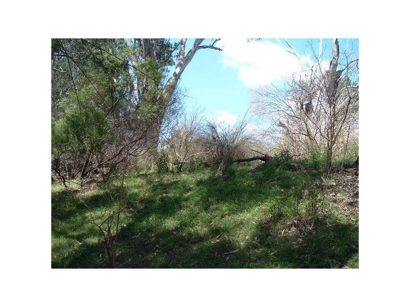 Bonshaw NSW 2361