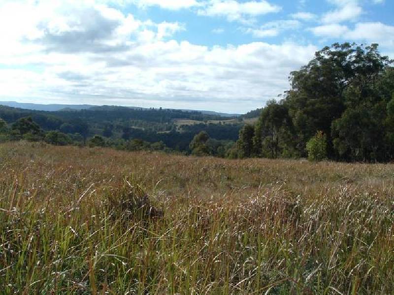 29 &amp; 30 Billarimba Road, Tenterfield NSW 2372