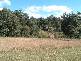 29 &amp; 30 Billarimba Road, Tenterfield NSW 2372