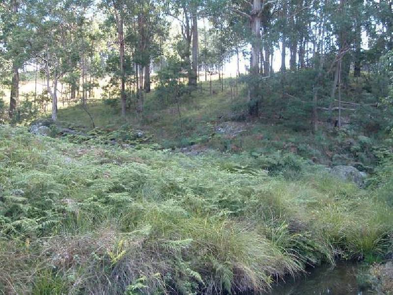 29 &amp; 30 Billarimba Road, Tenterfield NSW 2372