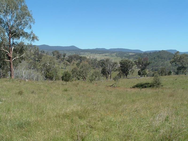 Sandy Flat NSW 2372