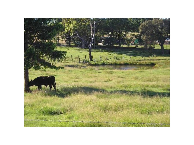 Tenterfield NSW 2372