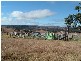 Tenterfield NSW 2372