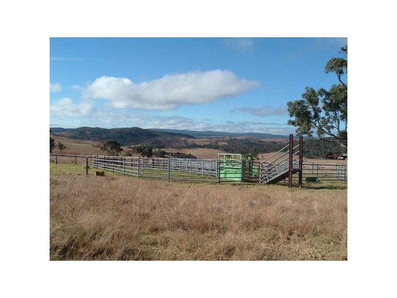 Tenterfield NSW 2372