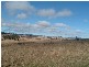 Tenterfield NSW 2372