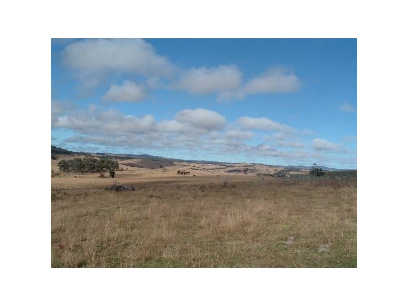 Tenterfield NSW 2372