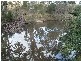 Tenterfield NSW 2372
