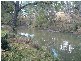 Tenterfield NSW 2372
