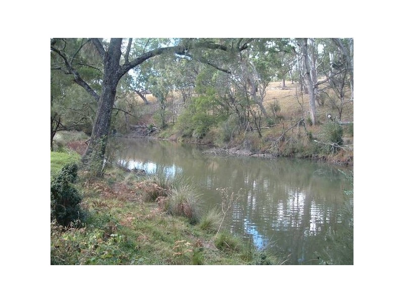 Tenterfield NSW 2372