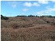 Tenterfield NSW 2372