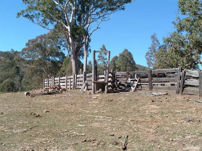 Tenterfield NSW 2372