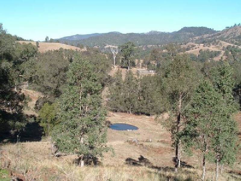 Tenterfield NSW 2372