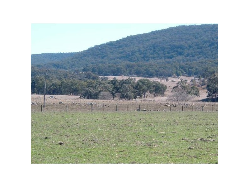 Tenterfield NSW 2372