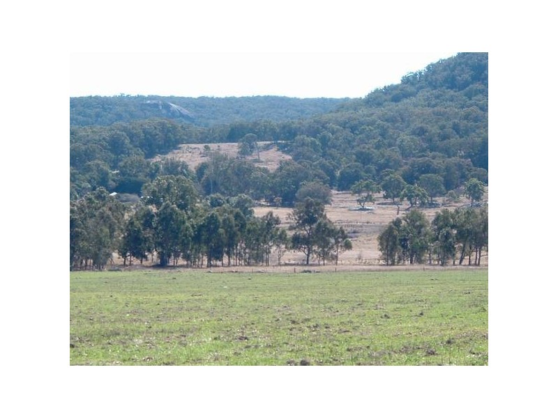 Tenterfield NSW 2372