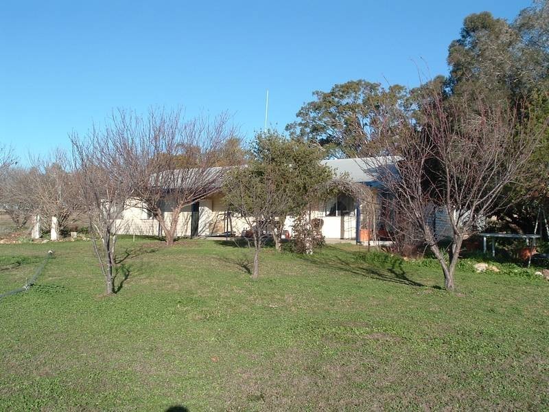 Tenterfield NSW 2372