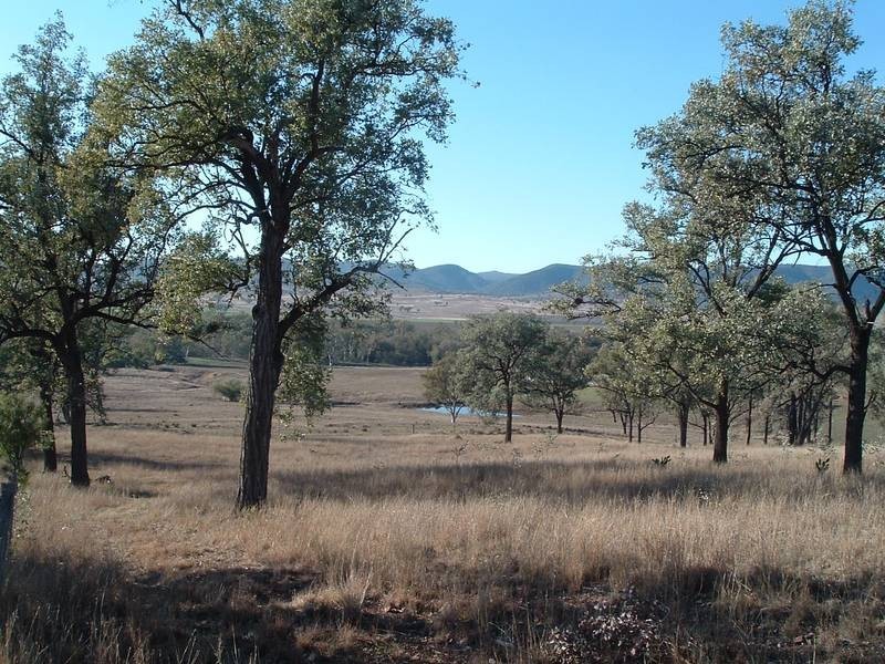 Tenterfield NSW 2372