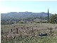 Tenterfield NSW 2372