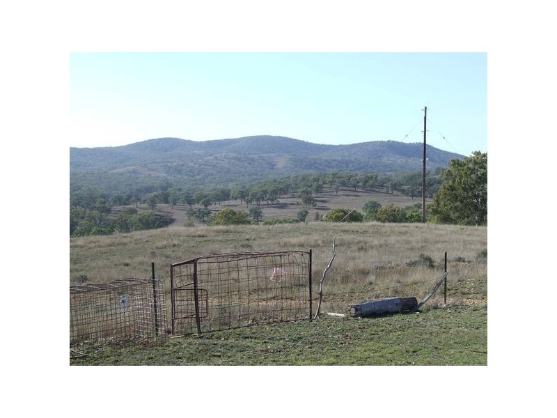 Tenterfield NSW 2372