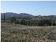 Tenterfield NSW 2372