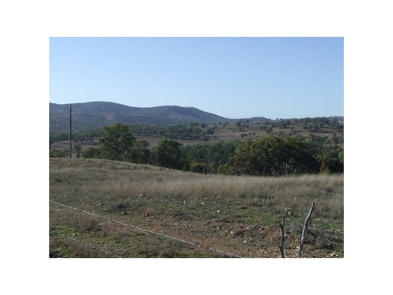 Tenterfield NSW 2372
