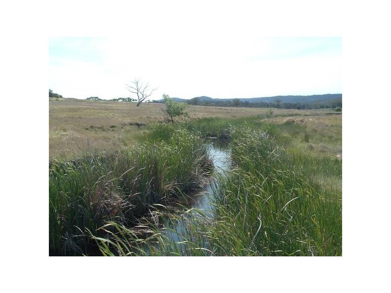 Tenterfield NSW 2372