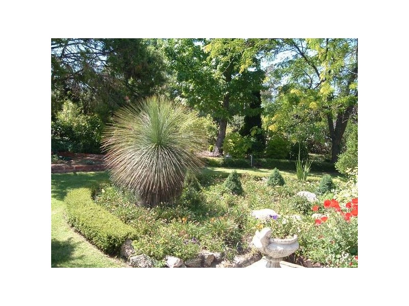 Tenterfield NSW 2372