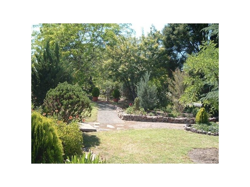 Tenterfield NSW 2372