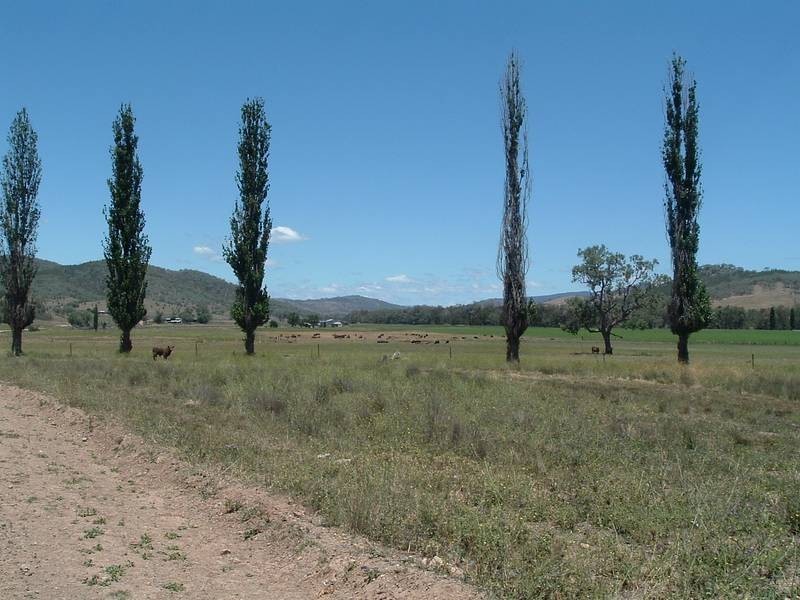 Tenterfield NSW 2372