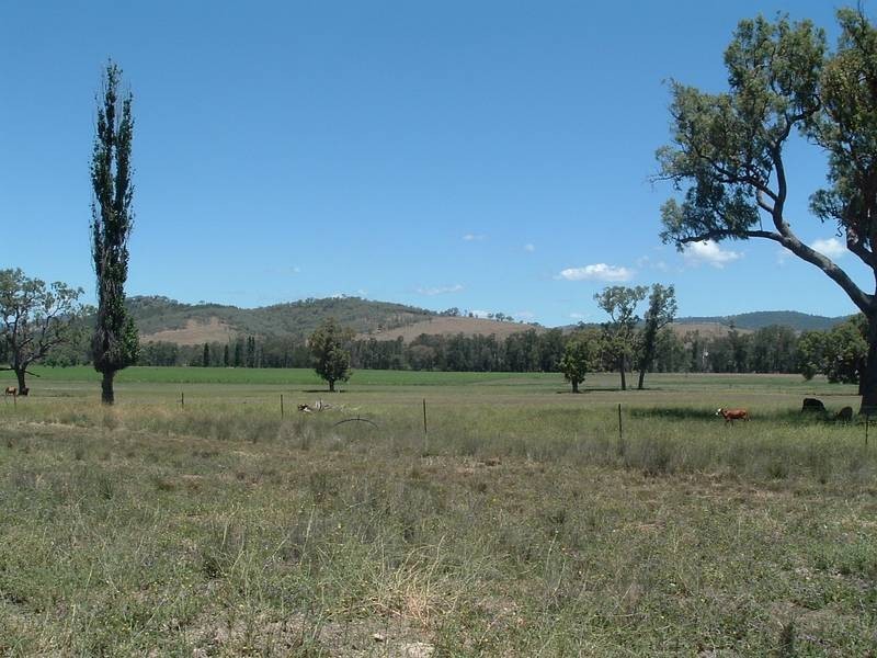 Tenterfield NSW 2372