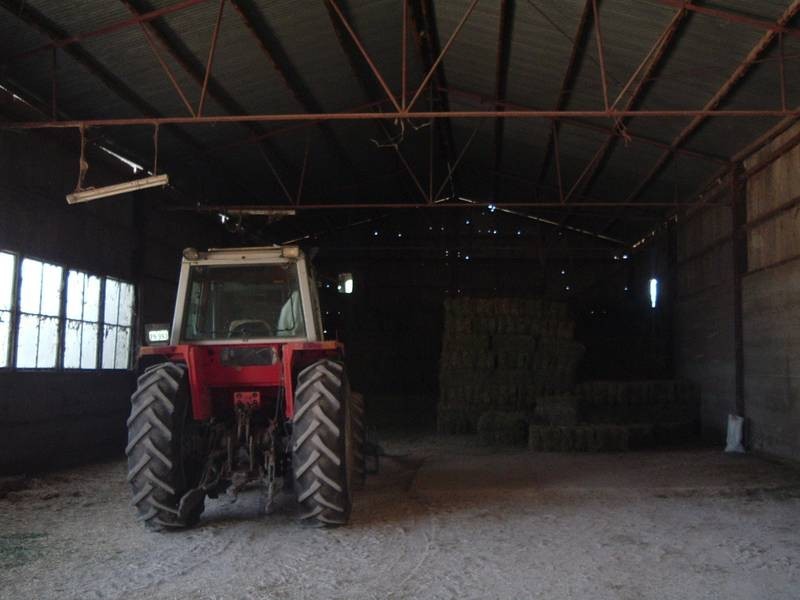 Tenterfield NSW 2372