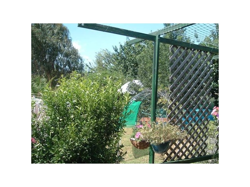 Tenterfield NSW 2372