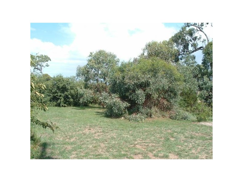 Tenterfield NSW 2372