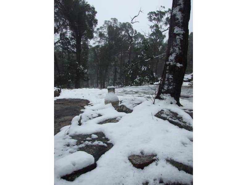 Tenterfield NSW 2372