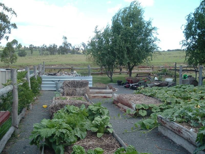 Tenterfield NSW 2372