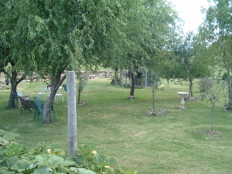 Tenterfield NSW 2372