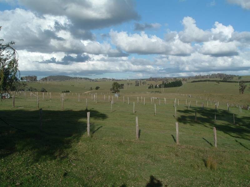 Tenterfield NSW 2372