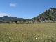 Bolivia NSW 2372