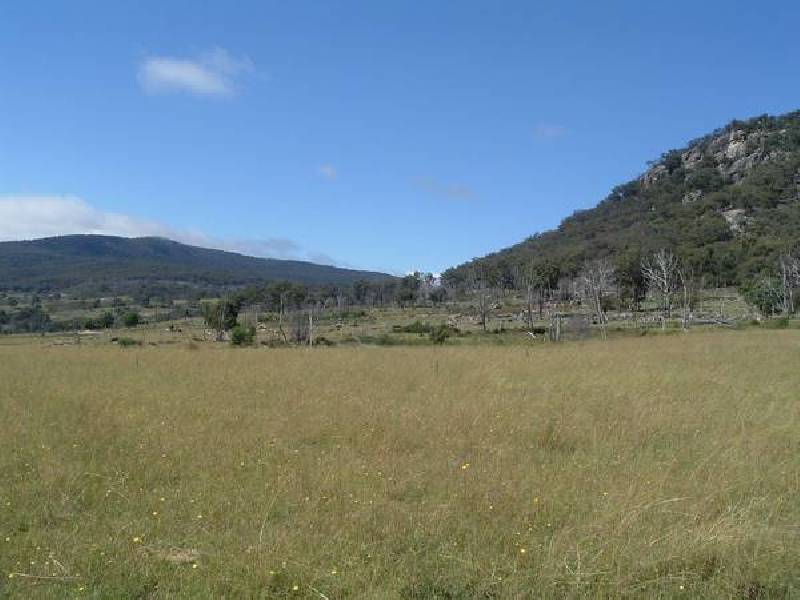 Bolivia NSW 2372