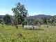 Bolivia NSW 2372