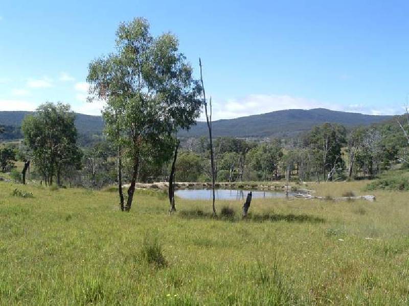 Bolivia NSW 2372