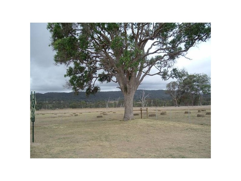 Tenterfield NSW 2372