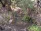 Tenterfield NSW 2372