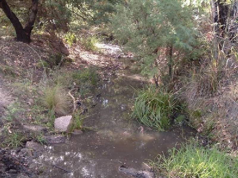 Tenterfield NSW 2372