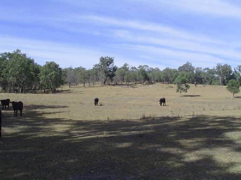 Tenterfield NSW 2372