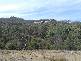 Tenterfield NSW 2372
